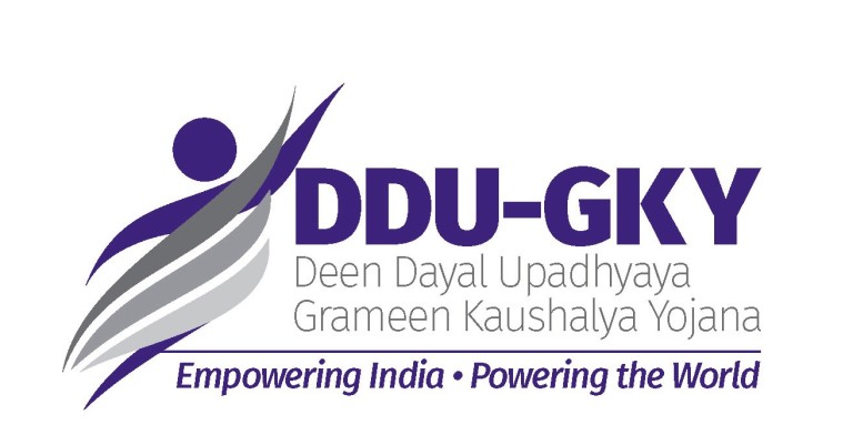 ddu video card ddu video card